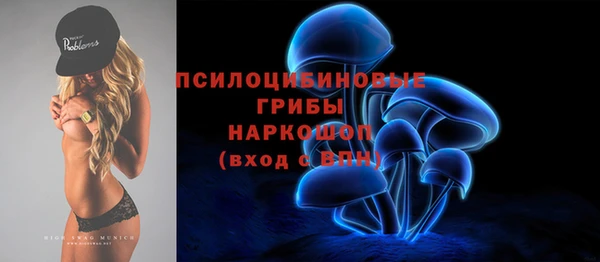 стафф Сосновоборск