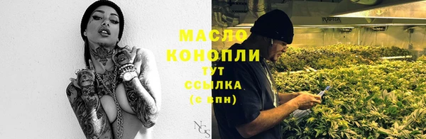 амф Зеленокумск