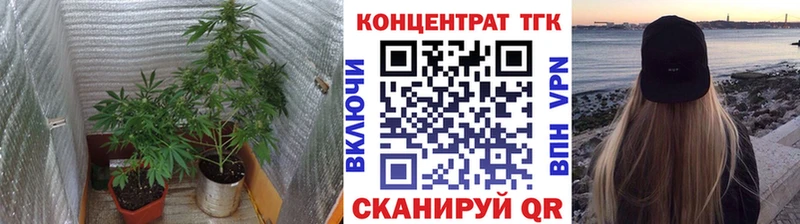 мега рабочий сайт  Соль-Илецк  ТГК концентрат 