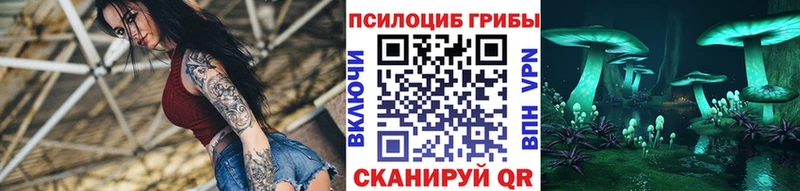 Псилоцибиновые грибы GOLDEN TEACHER Соль-Илецк
