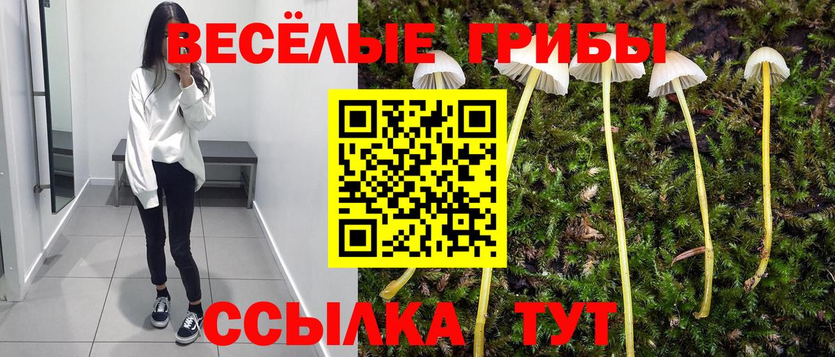 Галлюциногенные грибы MAGIC MUSHROOMS  Галлюциногенные грибы Psilocybine cubensis  Соль-Илецк  Вход с VPN 