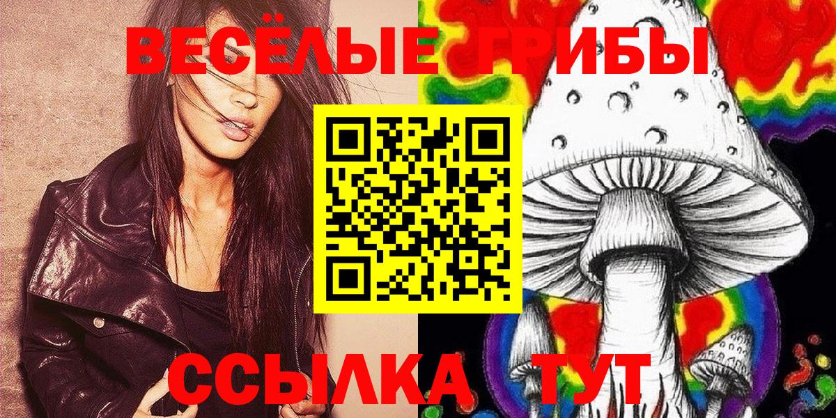 Галлюциногенные грибы Magic Shrooms Соль-Илецк